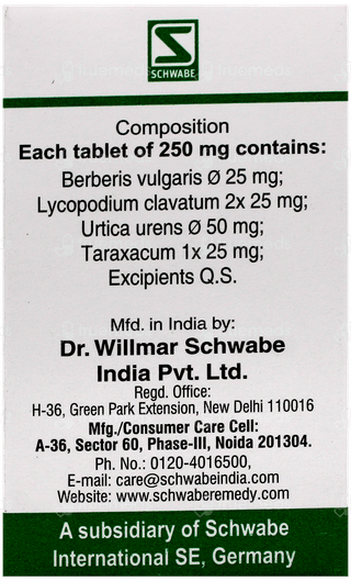 Dr Willmar Schwabe Berberis Pentarkan Ptk 15 Tablet 20Gm
